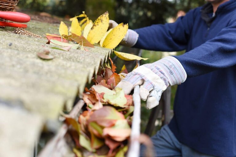 gutter cleaning services in my area Lake Charles LA